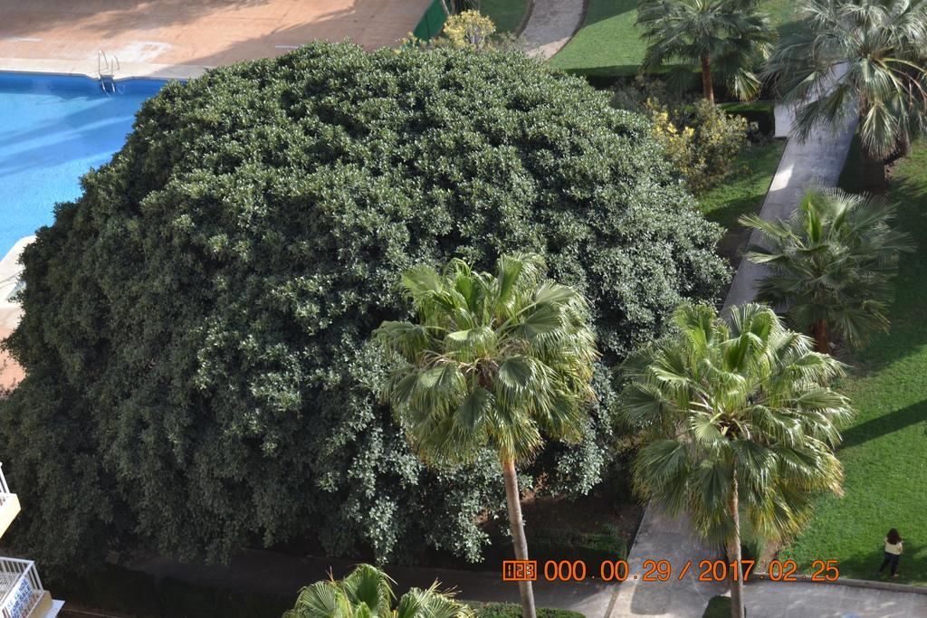 Hercules Apartment Benalmadena Bagian luar foto
